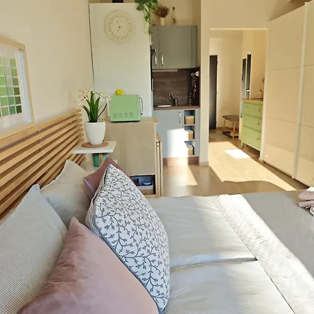 Stylish Apartment, Smichov, Free Gym * プラハ